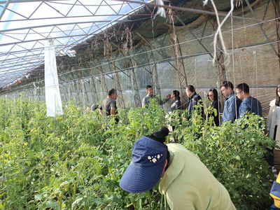 我校开展市校推进乡村振兴农业农村领域项目中期检查工作