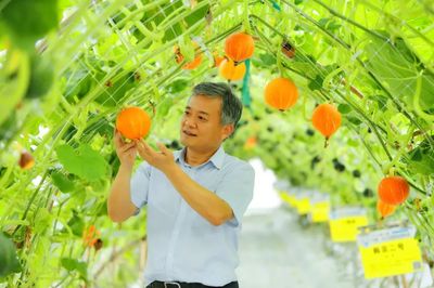 把论文写在大地上 农业科技工作者的深耕与奉献