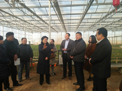 副市长常英敏赴淇县调研 推动农产品质量安全与冬季农业生产