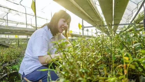 她让农业变酷了 女海归的“无土种菜”技术与农业未来