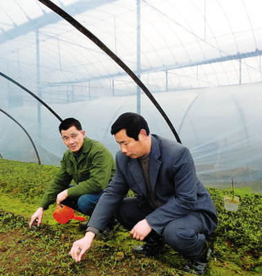 田垄间的坚守者 汪田有深耕农技十六载，铺就农民致富路