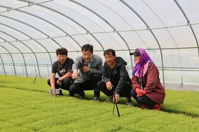 科技助农促增收——新兴镇农业技术人员下乡指导纪实