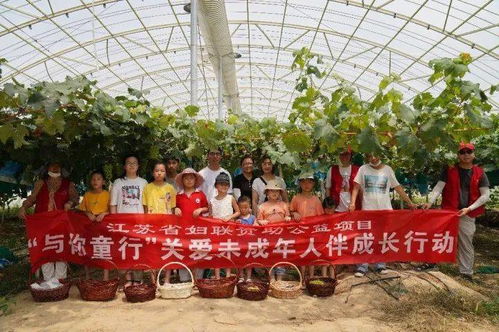 农业技术新突破 奇特葡萄品种的首次亮相