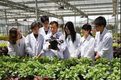 扎根潍坊大地，助力‘三农’发展 潍坊职业学院的农业技术研究实践