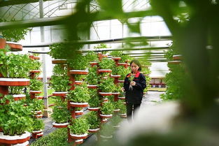 农业产业周报 海大、伊利领衔行业动态，资本聚焦智慧农业与生物技术