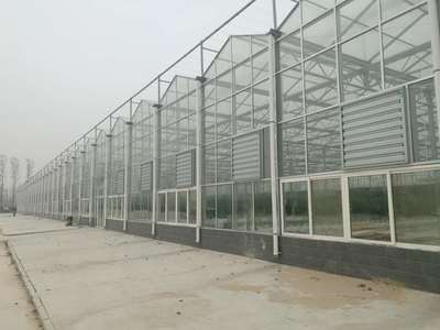 科技赋能，质效并举 现代高品质农业技术研究进展与展望