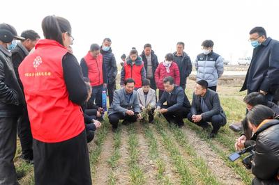 科普惠农进田间，科技赋能助增收——济宁市农科院开展农技专题培训